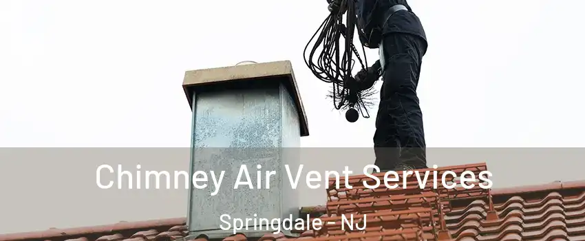  Chimney Air Vent Services Springdale - NJ