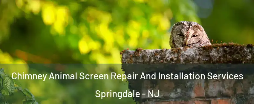  Chimney Animal Screen Repair And Installation Services Springdale - NJ