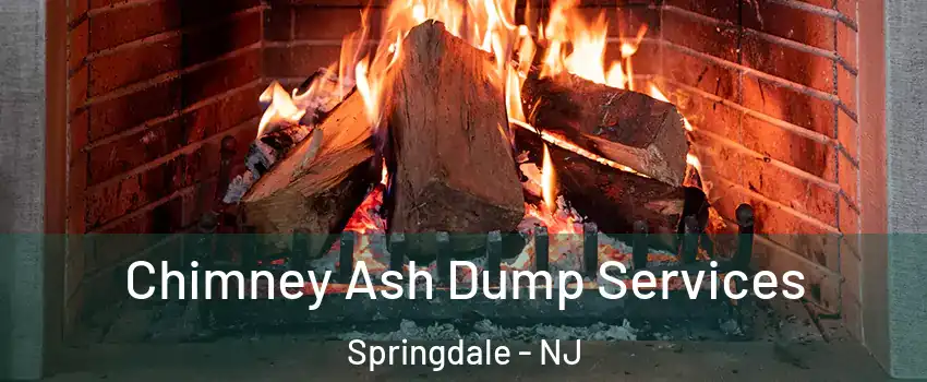  Chimney Ash Dump Services Springdale - NJ
