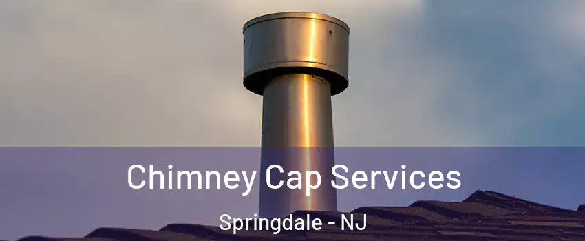  Chimney Cap Services Springdale - NJ