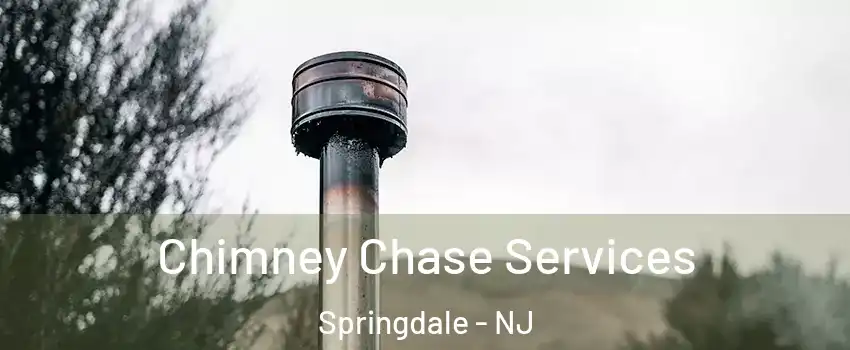  Chimney Chase Services Springdale - NJ