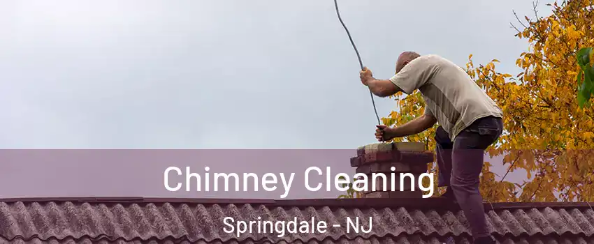  Chimney Cleaning Springdale - NJ