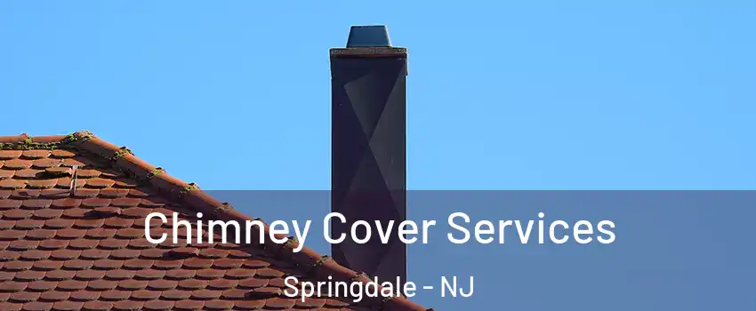  Chimney Cover Services Springdale - NJ