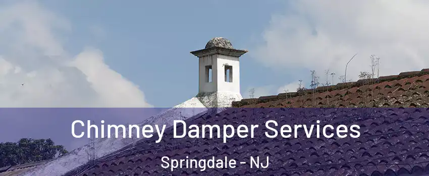 Chimney Damper Services Springdale - NJ