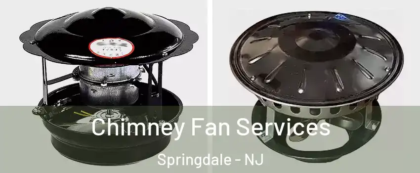  Chimney Fan Services Springdale - NJ