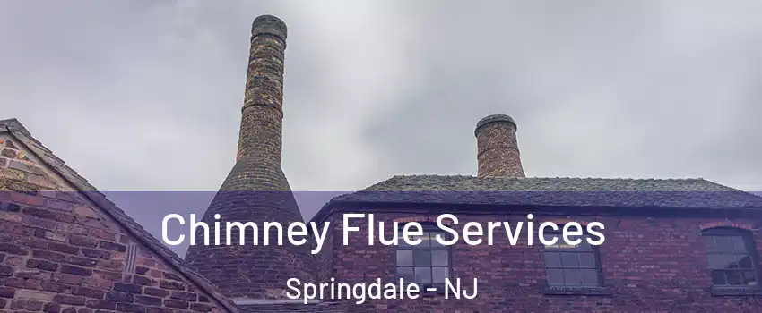  Chimney Flue Services Springdale - NJ