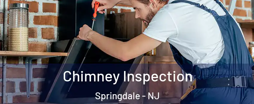  Chimney Inspection Springdale - NJ