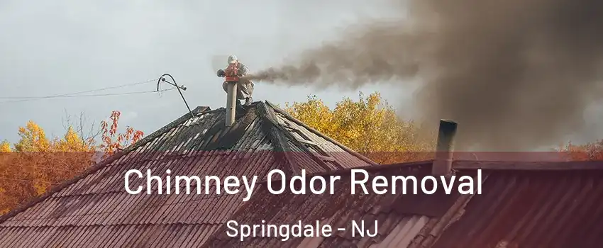  Chimney Odor Removal Springdale - NJ