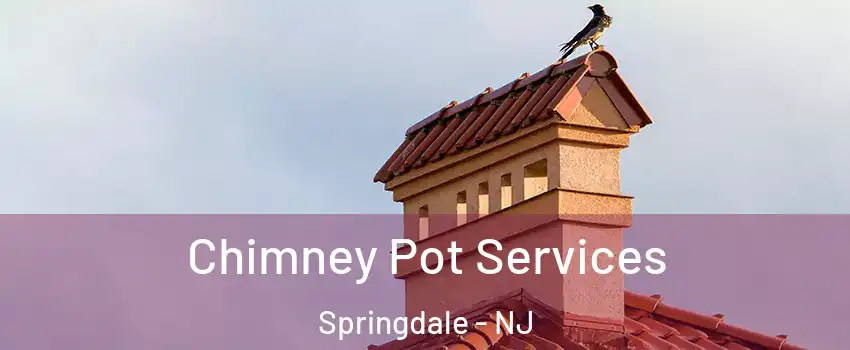  Chimney Pot Services Springdale - NJ