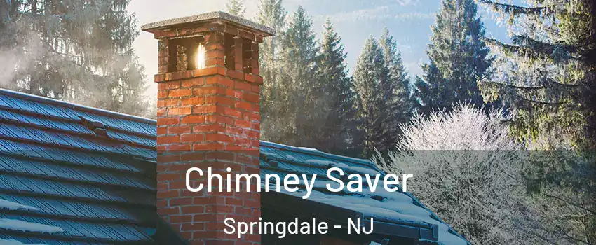  Chimney Saver Springdale - NJ