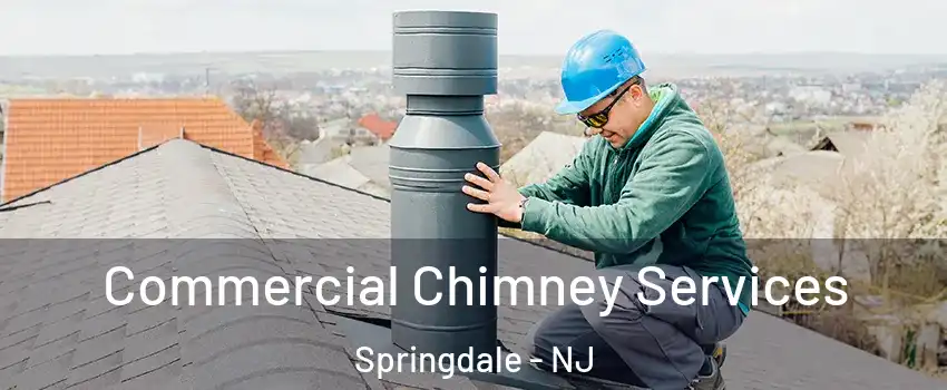  Commercial Chimney Services Springdale - NJ