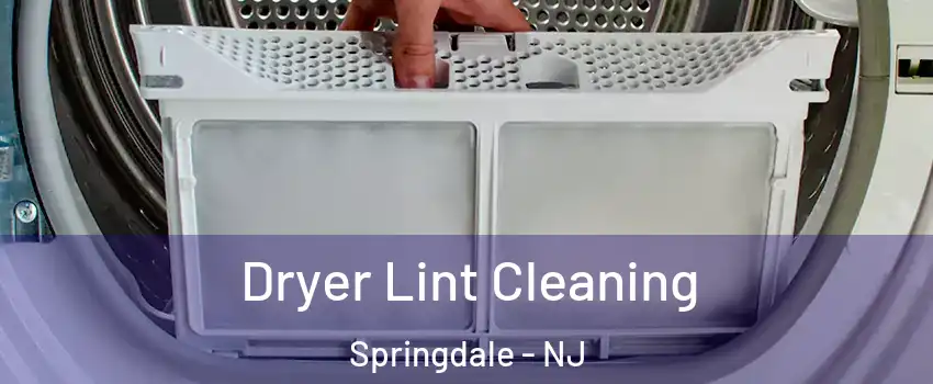  Dryer Lint Cleaning Springdale - NJ