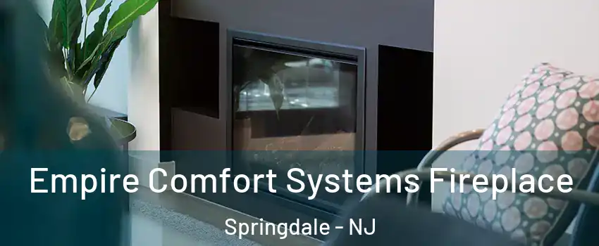  Empire Comfort Systems Fireplace Springdale - NJ