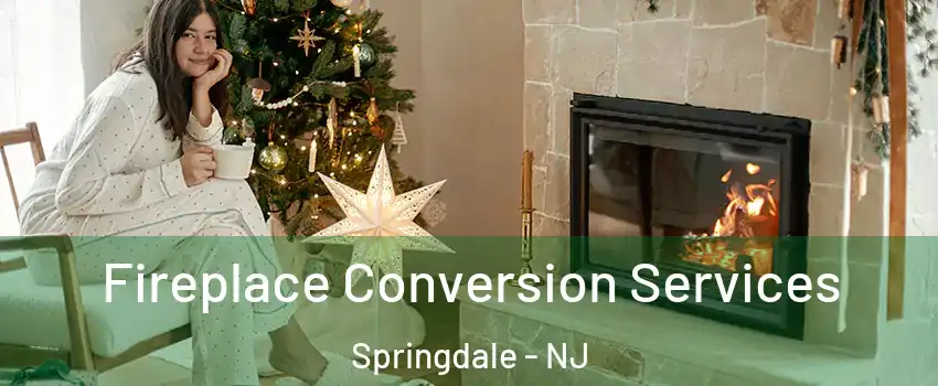 Fireplace Conversion Services Springdale - NJ