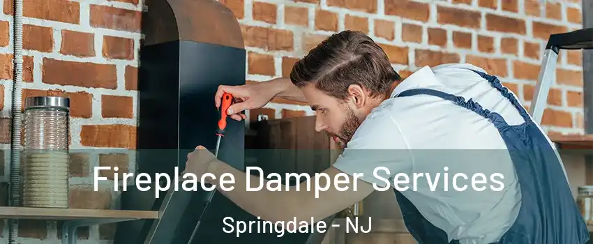  Fireplace Damper Services Springdale - NJ
