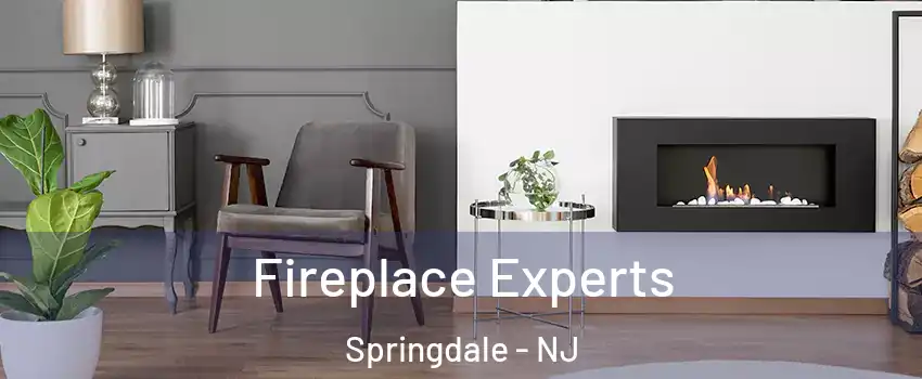  Fireplace Experts Springdale - NJ