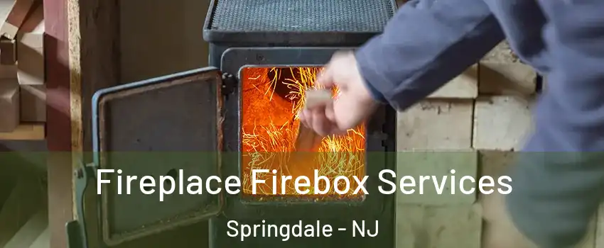  Fireplace Firebox Services Springdale - NJ