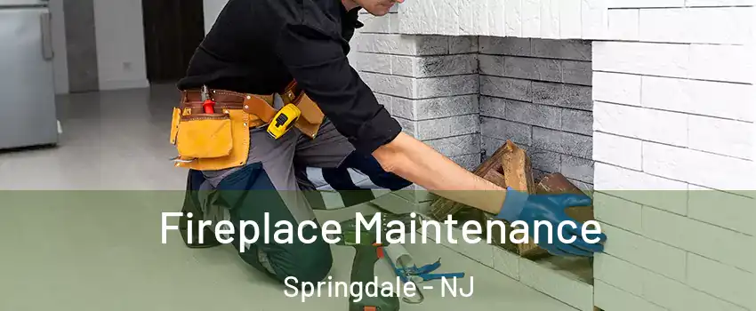  Fireplace Maintenance Springdale - NJ