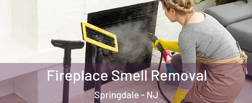  Fireplace Smell Removal Springdale - NJ