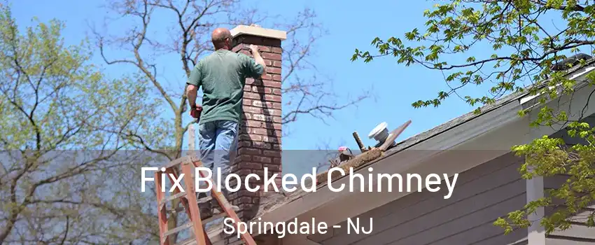  Fix Blocked Chimney Springdale - NJ