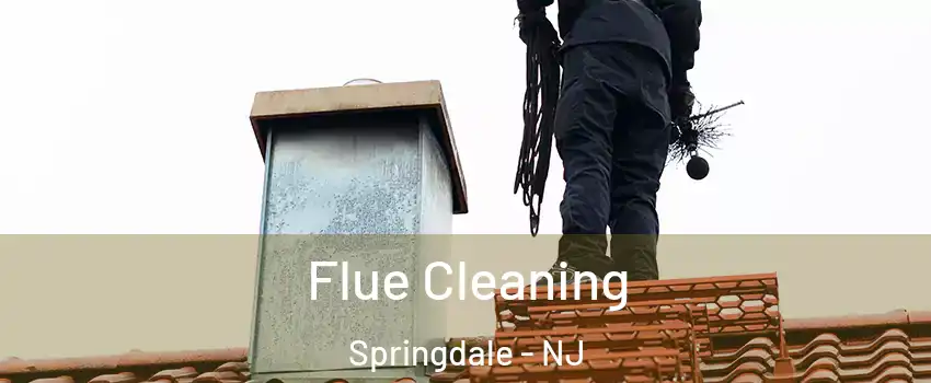  Flue Cleaning Springdale - NJ