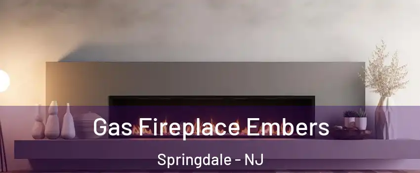  Gas Fireplace Embers Springdale - NJ
