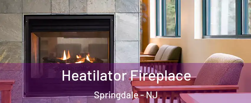  Heatilator Fireplace Springdale - NJ