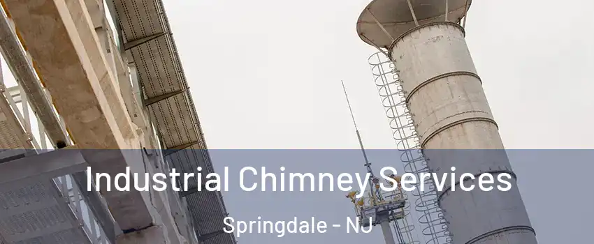  Industrial Chimney Services Springdale - NJ