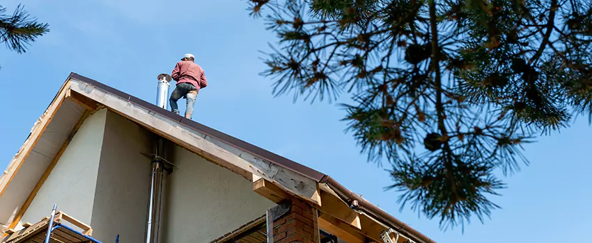 Birds Removal Contractors from Chimney in Springdale, NJ
