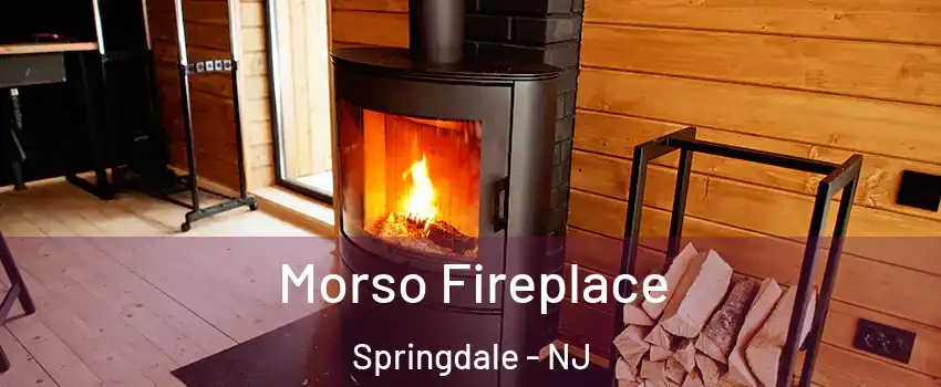  Morso Fireplace Springdale - NJ
