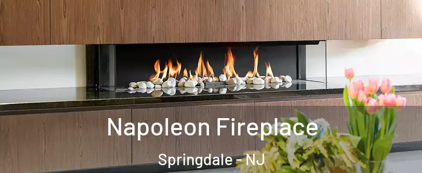  Napoleon Fireplace Springdale - NJ