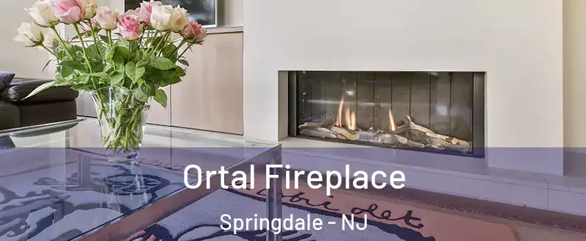 Ortal Fireplace Springdale - NJ