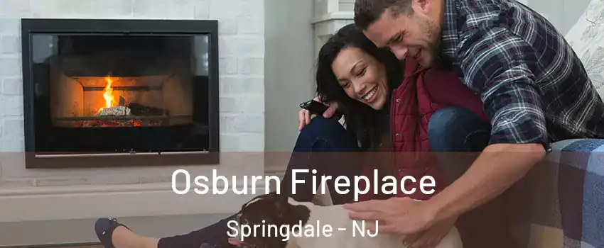 Osburn Fireplace Springdale - NJ