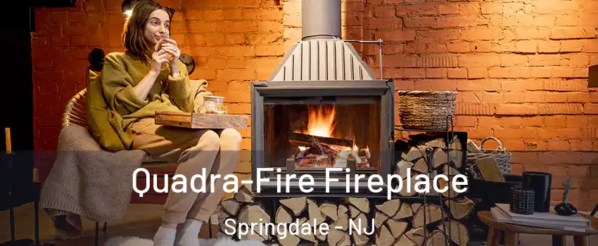  Quadra-Fire Fireplace Springdale - NJ