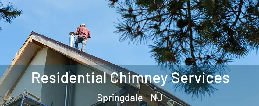  Residential Chimney Services Springdale - NJ