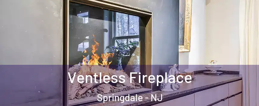  Ventless Fireplace Springdale - NJ